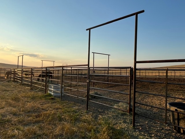 Fencing project 1
